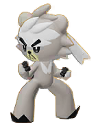 Kubfu Portrait Image