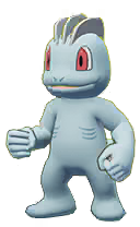 Machop Portrait Image