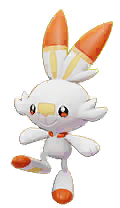 Scorbunny Portrait Image