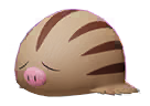 Swinub Portrait Image