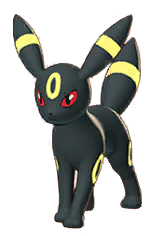 Umbreon Portrait Image